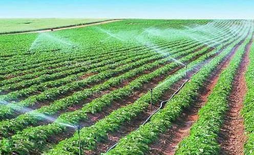 极品白虎内射流白农田高 效节水灌溉
